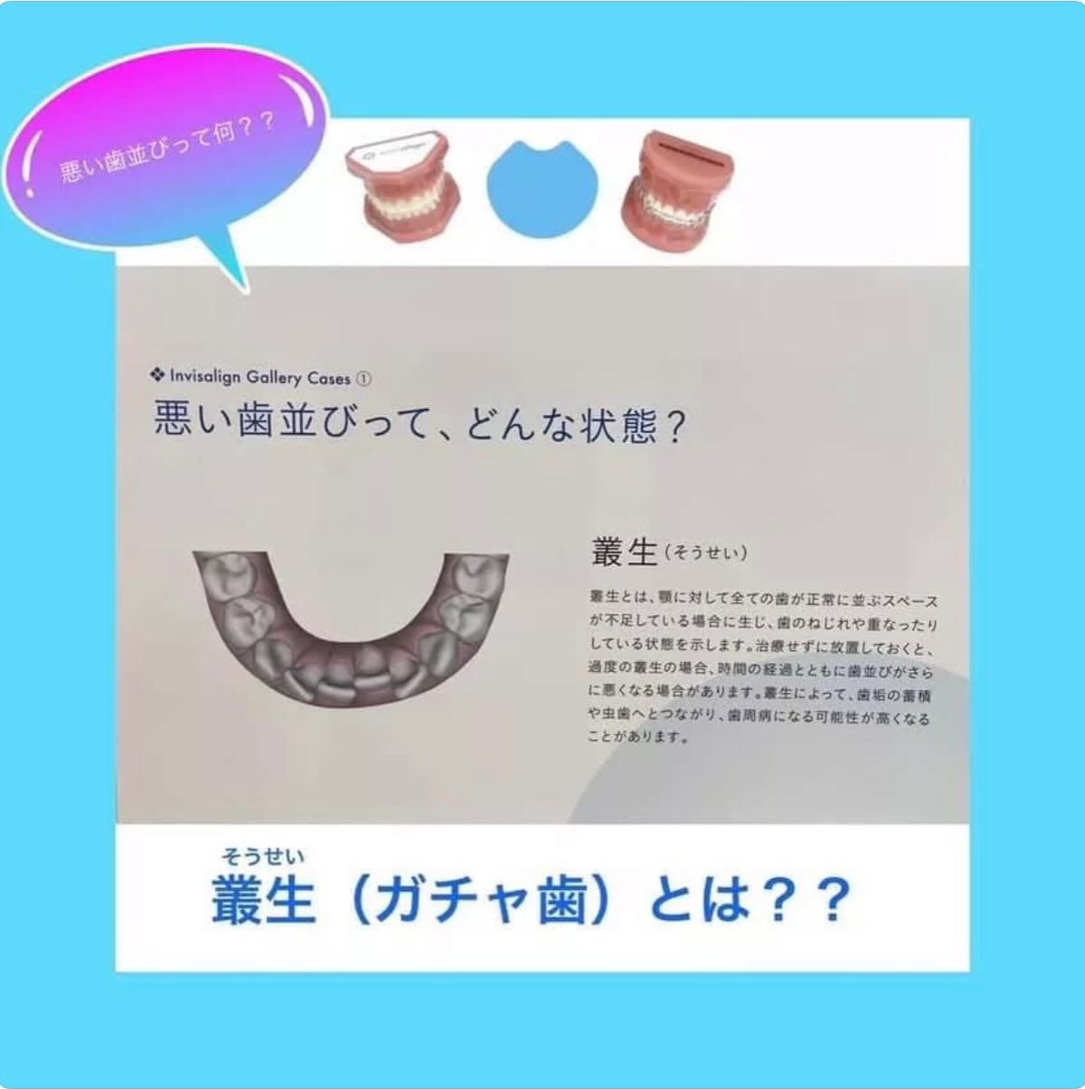 こんにちは！