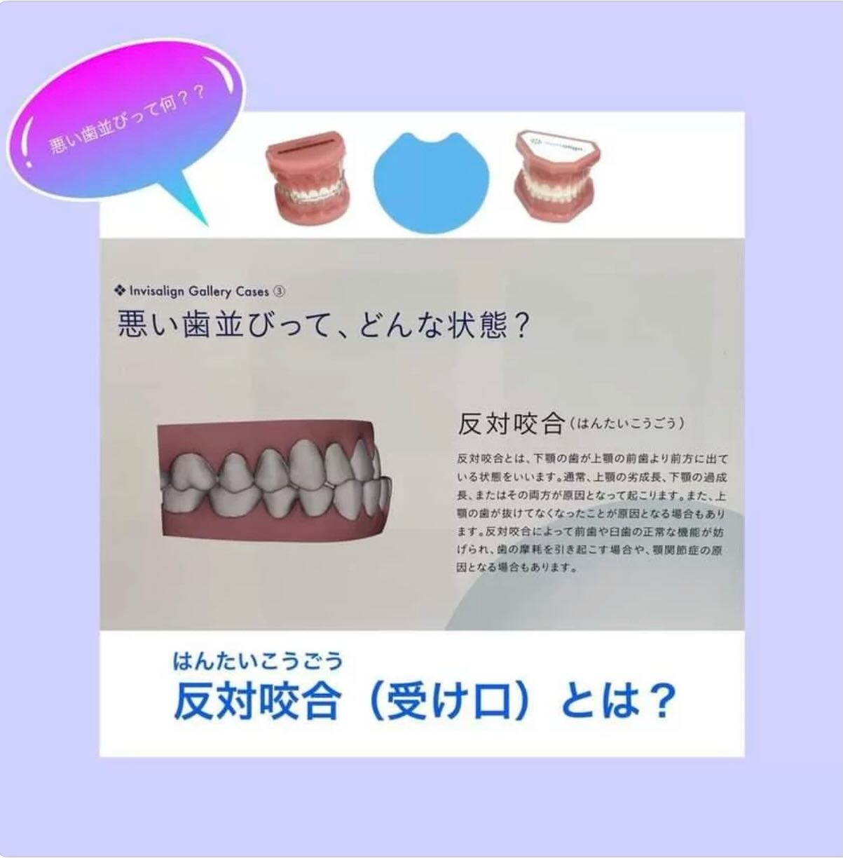 こんにちは！