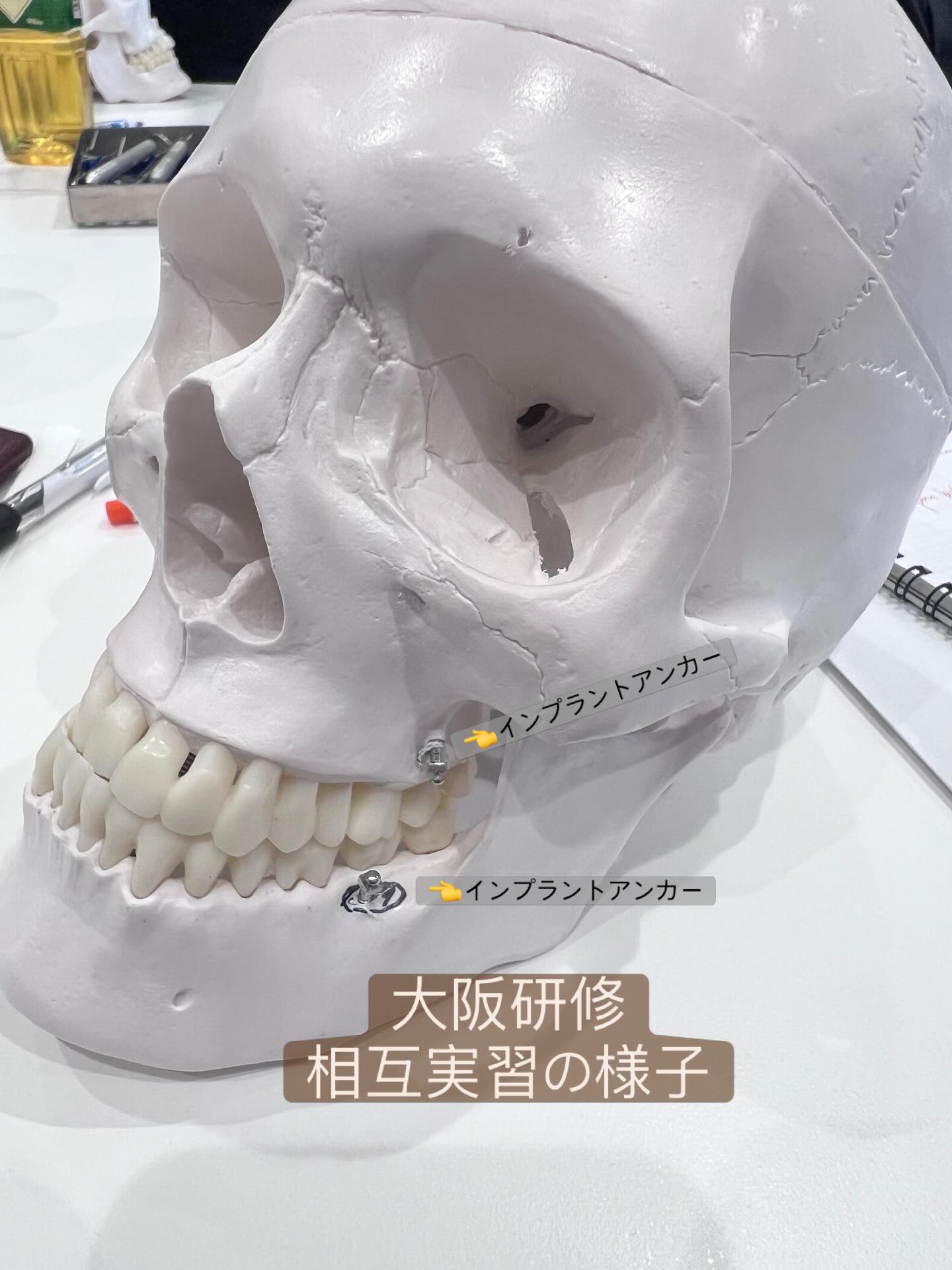 こんにちは！